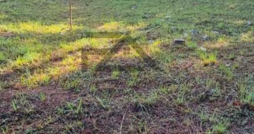 Terreno para Venda em São José, Forquilhas