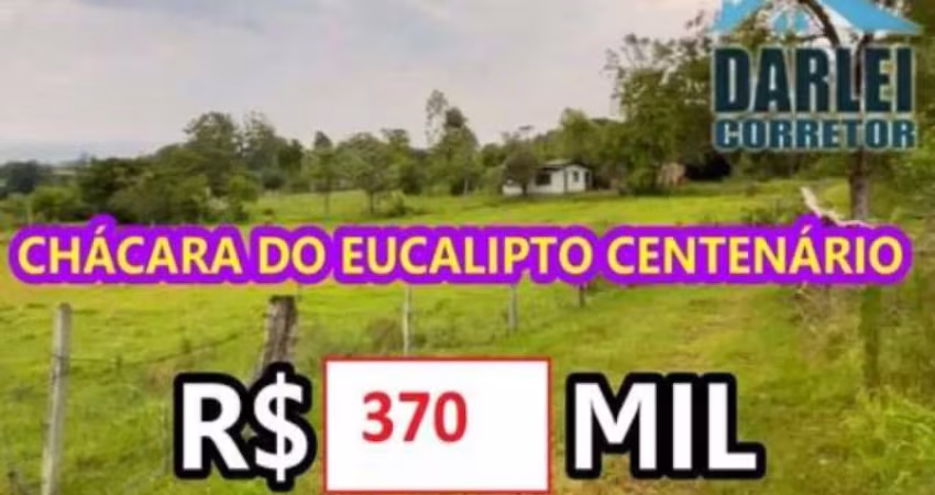 [87994 ] CHÁCARA DO EUCALIPTO CENTENÁRIO COM CASA, AÇUDE E POMAR EM GLORINHA