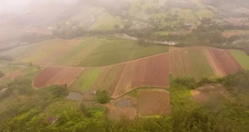 [114898] FAZENDA EM MAQUINÉ COM 81 HECTARES, CASARÃO, RIO, ESCRITURADA, TERRAS FÉRTEIS