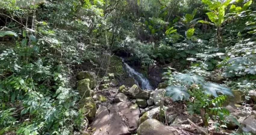 [108249] CHÁCARA COM RIACHO, DUAS CACHOEIRAS, FIBRA ÓTICA E ÁGUA ENCANADA NA ROD. BR-101 EM MAQUINÉ