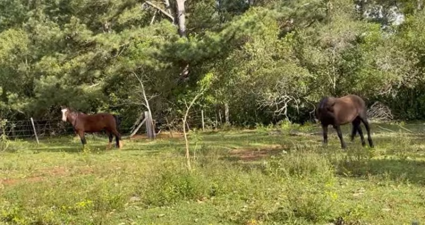 SÍTIO COM CASA, AÇUDES, TRÊS CÓRREGOS E CINCO CASCATINAHAS E 30 HECTARES EM TAQUARA