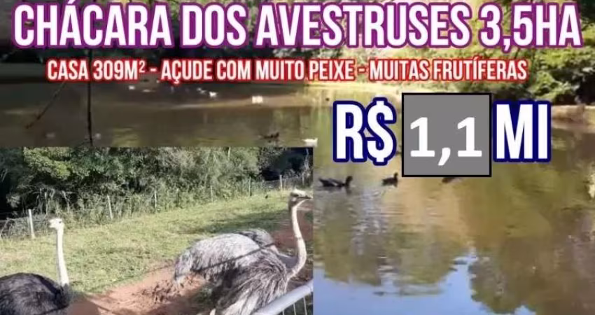 113814 CHÁCARA EM TAQUARA NO RS, CASA 309M² PISCINA, MUITO POMAR, AÇUDE COM PEIXES, FIBRA