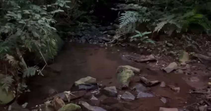 [96690] CHÁCARA NO CARAÁ 5,5HA COM LUZ RANCHO E MATA NATIVA