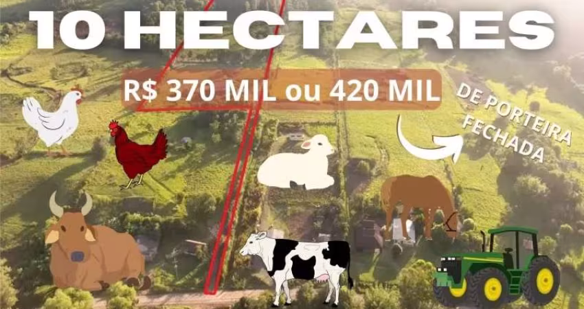 SÍTIO COM MÓVEIS, TRATOR, GALINHAS, CABRITOS, OVELHAS, VACAS, UM CAVALO E 10 HA NO CARAÁ