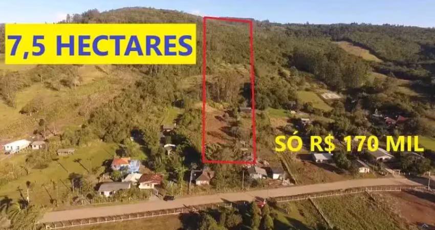 [104142]  SÍTIO COM VERTNTE, TERRA FÉRTIL, INTERNET FIBRA ÓTICA E ÁGUA ENCANADA NO CARAÁ COM 7,5 HA