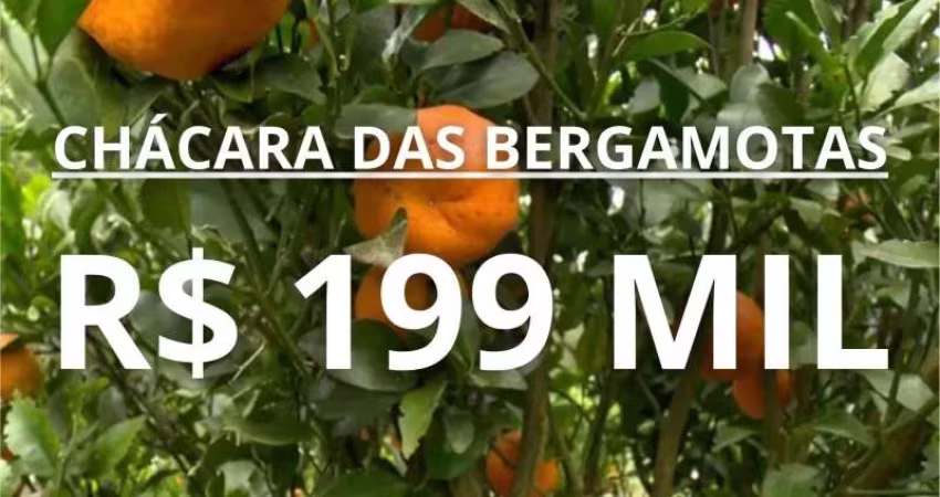 CHÁCARA DAS BERGAMOTAS COM RIACHO, AÇUDE, FIBRA ÓTICA, ÁGUA ENCANADA E 1 HECTARE NO CARAÁ