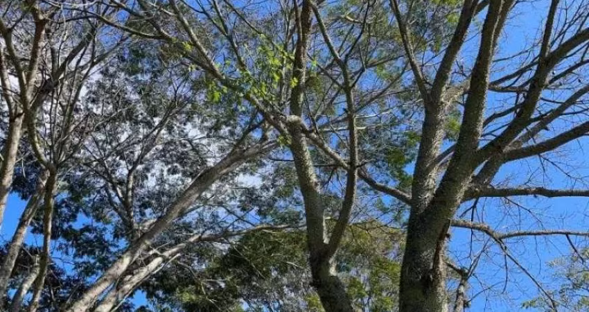 [118777] CHÁCARA EM NOVA HARTZ COM TRÊS CASAS, AÇUDE, POMAR, ROÇA, HORTA E FIBRA ÓTICA