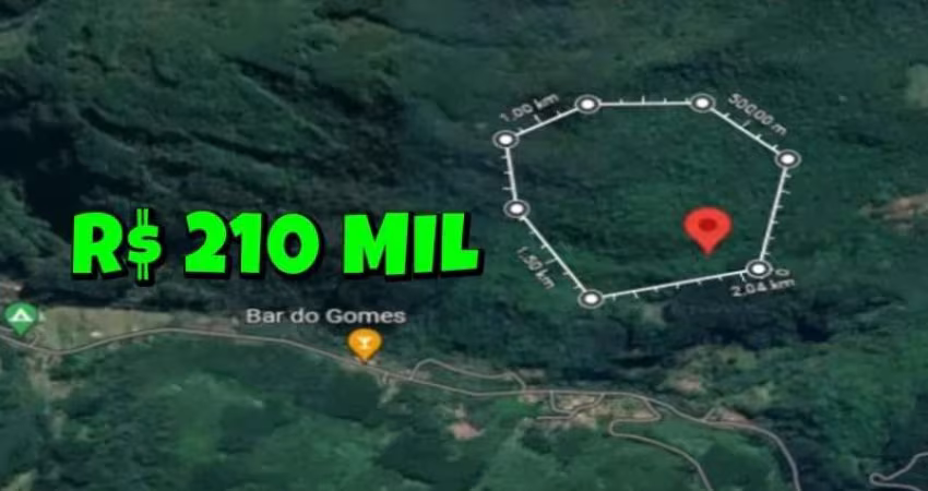 [117043] SÍTIO COM 30 HECTARES ESCRITURADAS, VERTENTE, 50 ARAUCÁRIAS, MATA NATIVA, ESTRADA