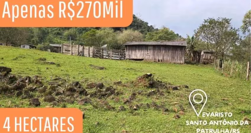 [558]  EM SANTO ANTÔNIO DA PATRULHA, 4HA, COM CASA, GALPÃO, ÓTIMA PARA CRIAÇÃO DE GADO
