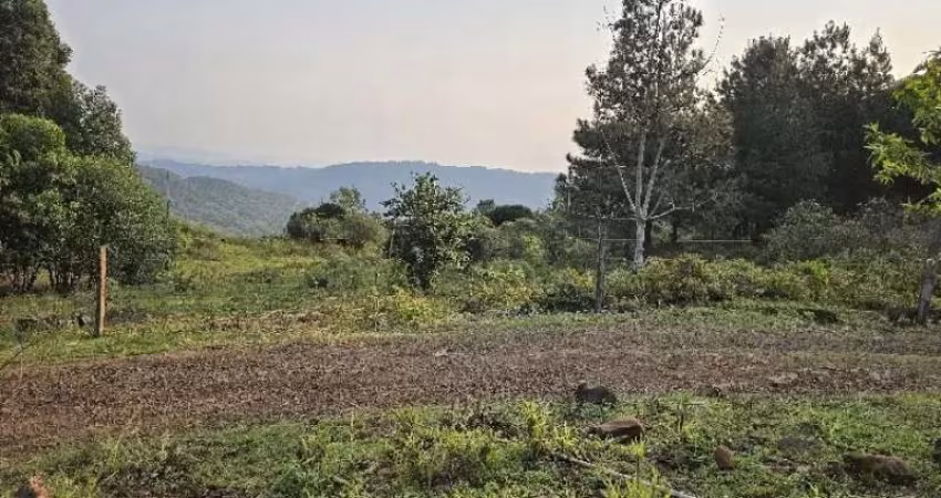 [549] CHÁCARA EM ROLANTE 7HA ESCRITURA VERTENTES, BELA VISTA, CHALÉ RÚSTICO