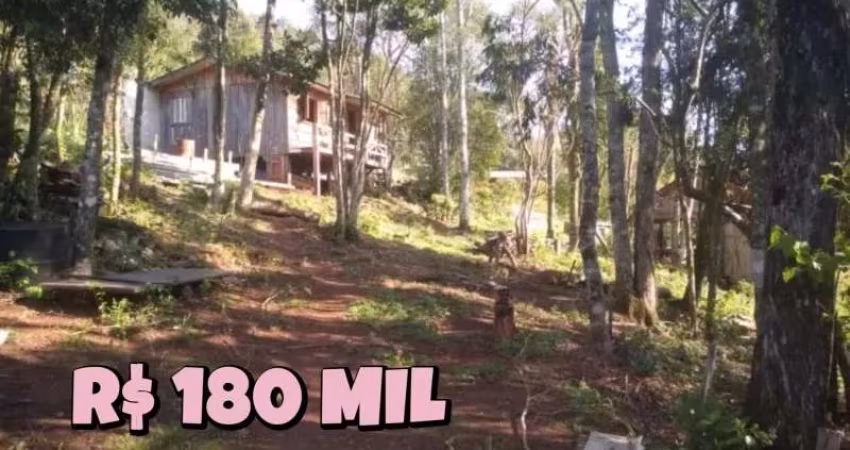 [554]CHÁCARA EM RIOZINHO COM MATRÍCULA INDIVIDUAL 5 HA COM CASA, ARVORES FRUTÍFERAS,ROÇA, PARREIRA DE UVA  R$180MIL