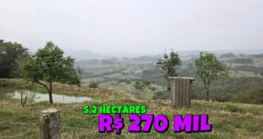 [587]CHÁCARA EM SANTO ANTÔNIO DA PATRULHA 5,8HA MATRÍCULA INDIVIDUAL COM CASA