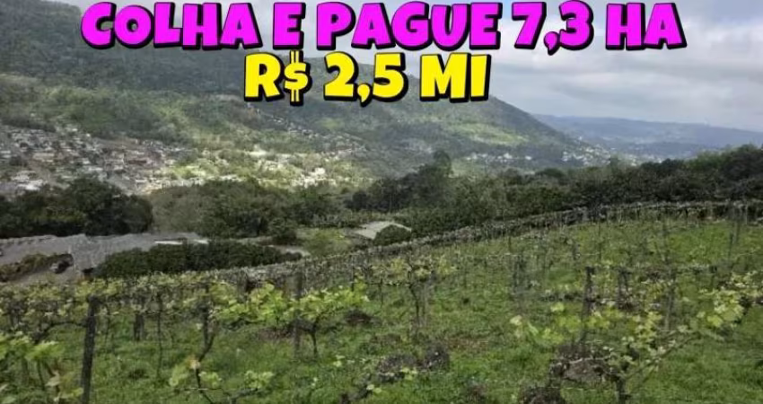 [595]  SÍTIO EM IGREJINHA 7,3HA COM PESQUE, COLHA E PAGUE, CASA, PISCINA, MUITO POMAR, CANTINA DE VINHO