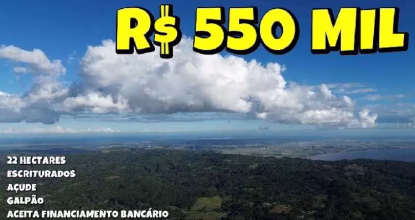 [747] SÍTIO NO ALTO CARAÁ, COM 20 HA, ESCRITURADO, COM ROÇA PRONTA PARA PLANTIO