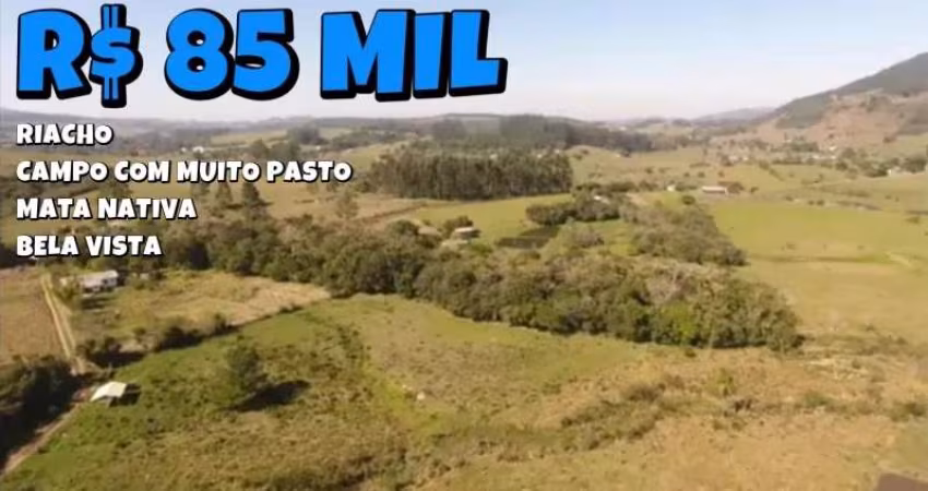 [122311] CHÁCARA COM CAMPO BOM DE PASTO, MATA NATIVA COM CÓRREGO DENTRO, 7000M²
