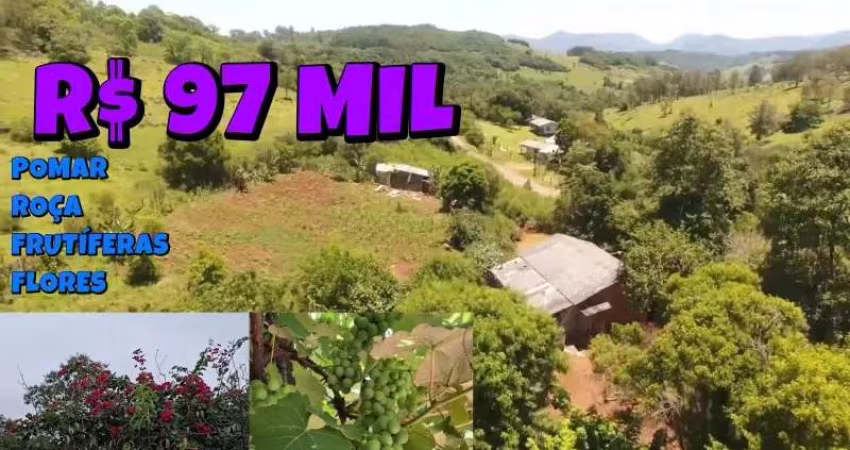 [760] CHÁCARA EM PALMEIRA DO SERTÃO, COM 4150M² ALUGA OU VENDE