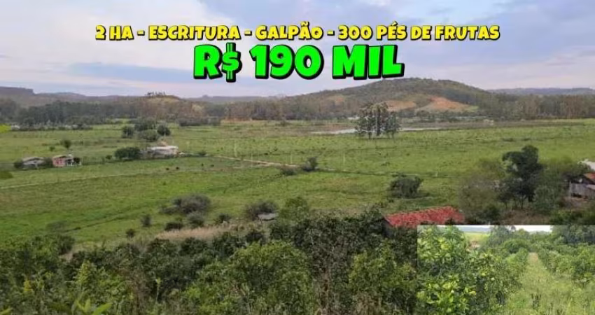 [739] CHÁCARA EM SANTO ANTÔNIO DA PATRULHA 2HA ESCRITURA AMPLO POMAR FIBRA ÓTICA POÇO E GALPÃO