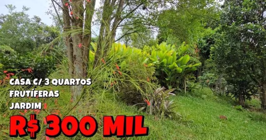 [762] CHÁCARA EM PALMEIRA DO SERTÃO, 1HA ESCRITURADO, CASA COM 3 QUARTOS, POMAR, JARDIM E HORTA