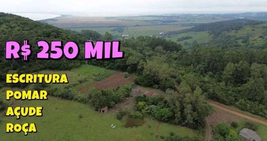 [763] CHÁCARA EM SANTO ANTÔNIO, EM PALMEIRA DO SERTÃO 13 HA