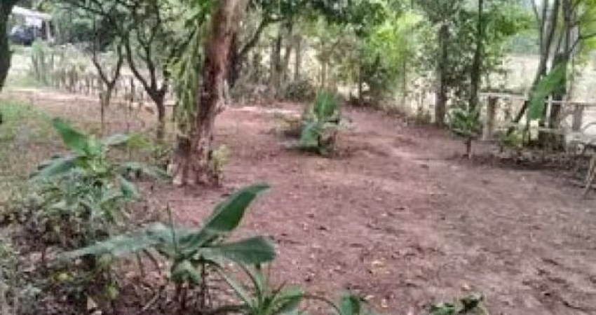 [485]MINI CHACRINHA EM GRAVATAÍ RS, LUZ, POÇO, CASINHA E FRUTÍFERAS
