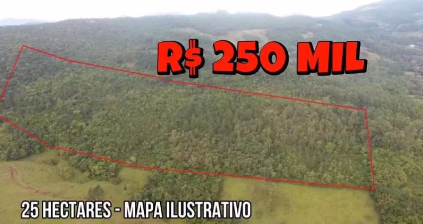 [798] SÍTIO NO CARAÁ 25 HA ESCRITURA, LUZ TRIFÁSICA, TERRA FÉRTIL, COM CÓRREGO DENTRO