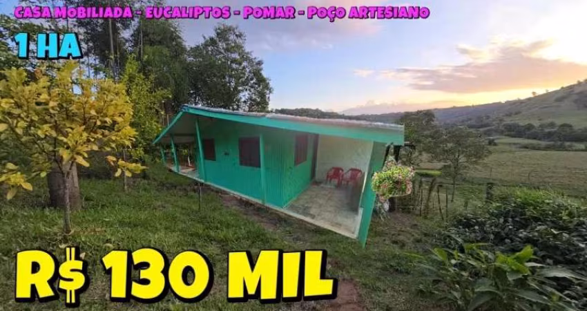 [802] CHÁCARA EM PORTO RAMOS 1 HA CASA MOBILIADA, FRUTÍFERAS, GALPÃO PARA LENHA E APROX. 600 PÉS DE EUCALIPTO