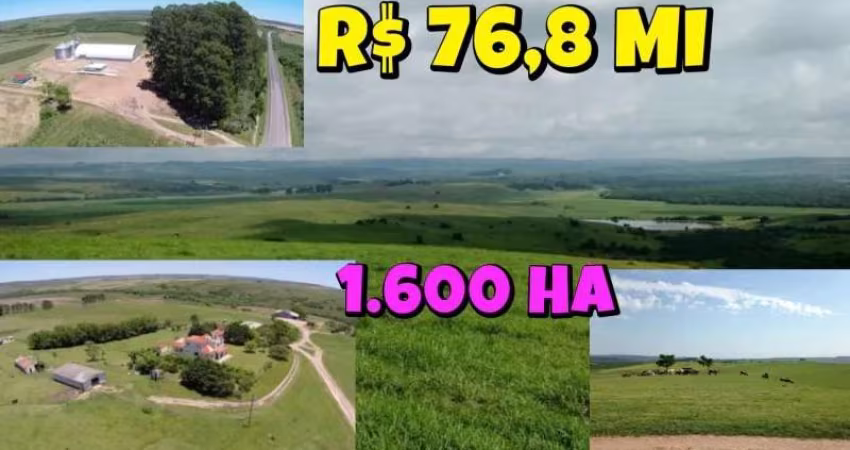 [793] Fazenda de Alto Padrão em Bagé, 1.600 Hectares, pronta para o plantio de Soja em 80% da propriedade