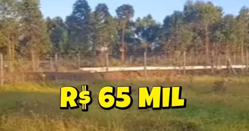 [688] CHACRINHA EM TAQUARA 20x50M CERCADO LUZ FIBRA ÓTICA ACEITA CARRO