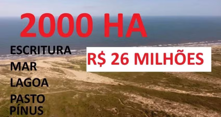 [717] FAZENDA EM PALMARES DO SUL 2000HA COM LAGOA, MAR, PASTAGEM, 800HA DE PÍNUS ESCRITURADA