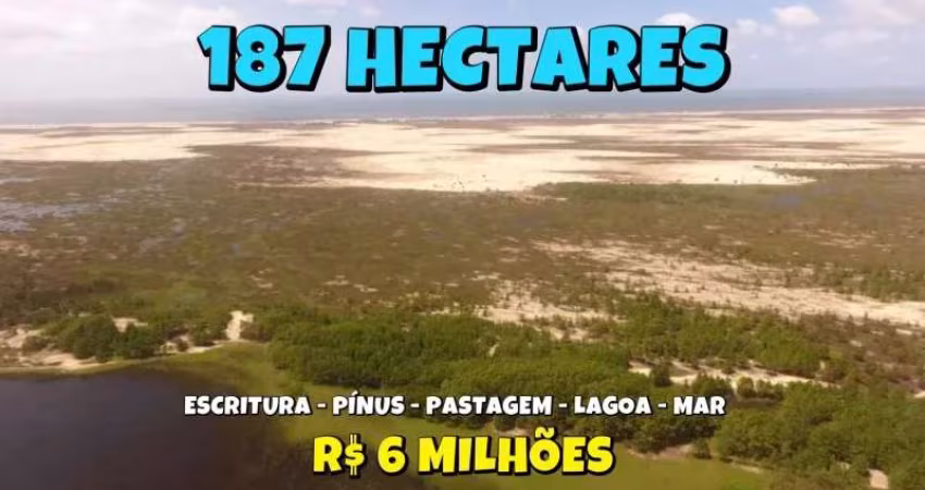 [727] FAZENDA EM MOSTARDAS ESCRITURADA 187HA COM PÍNUS, PASTAGEM, LAGOA E MAR