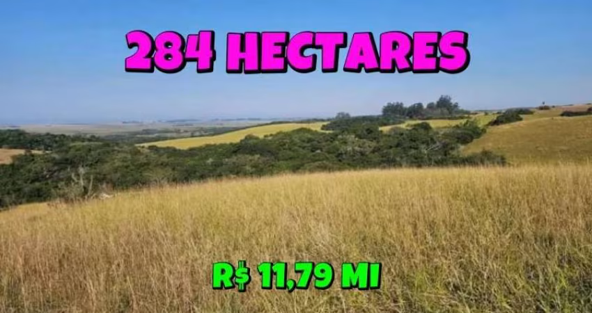 [813] FAZENDA PARA PECUÁRIA E AGRICULTURA EM VIAMÃO 284 HECTARES
