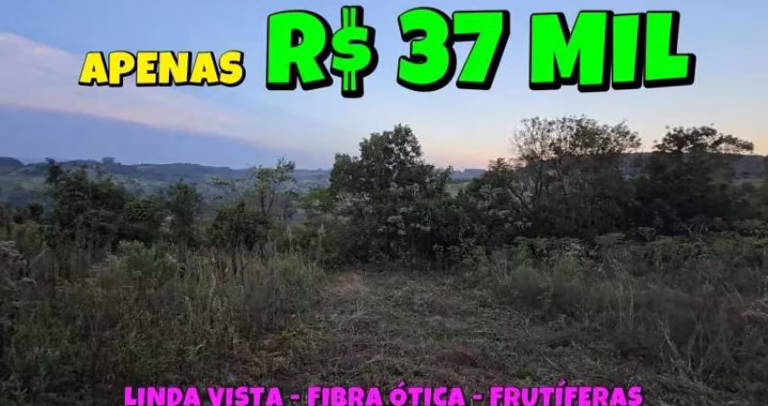 [837] TERRENO RURAL, PARAÍSO DAS FRUTAS, EM PALMEIRA DO SERTÃO