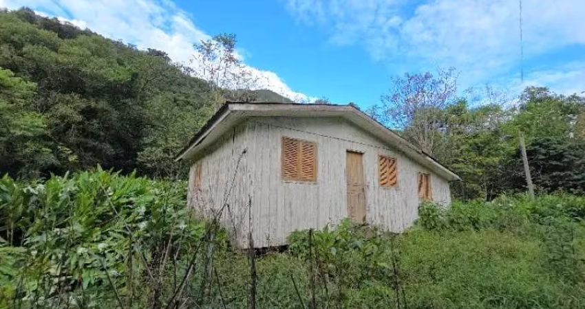 [838] SÍTIO EM BARRA DO OURO, MAQUINÉ, COM CASA ANTIGA, 28 HA, MATA NATIVA, VERTENTE COM ÁGUA MINERAL