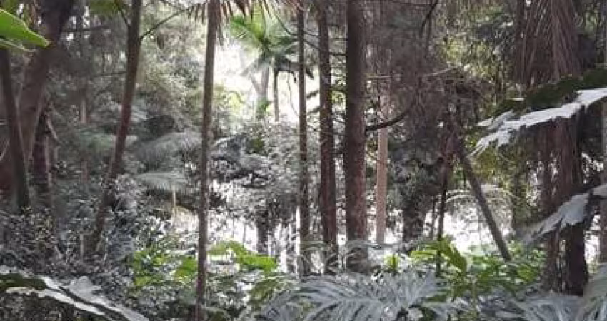 Terreno à venda na Rua Riese, Sete Praias, São Paulo