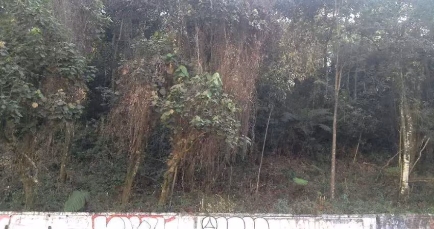 Terreno à venda na Rua das Camélias, Parque Assunção, Taboão da Serra