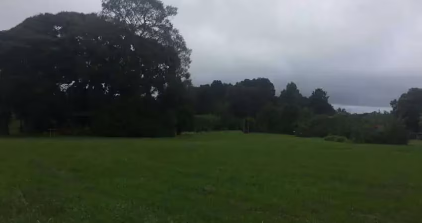 Terreno à venda na Rua Pedro Valaski, Jurema, São José dos Pinhais