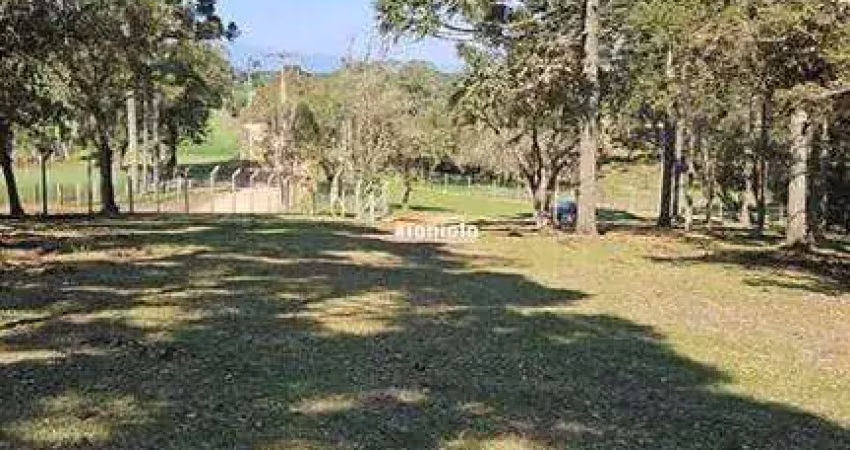 Chácara / sítio à venda na Rua Alexandre Kreoniz, Campestre da Faxina, São José dos Pinhais
