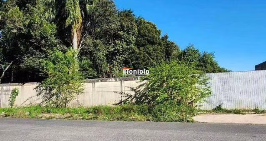 Lote à venda, Cidade Industrial - Curitiba/PR