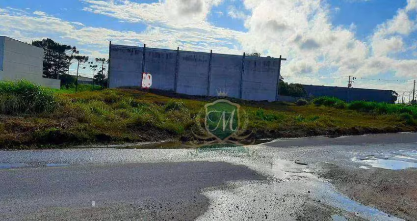 Terreno à venda, 1 m² por r$ 945.000 - centro industrial mauá - colombo/pr