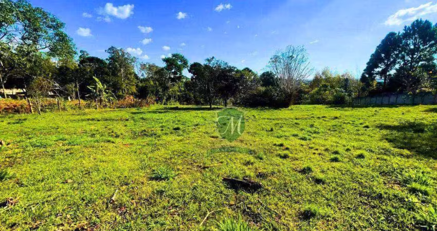 Terreno à venda, 891 m² por r$ 520.000 - jardim boa vista - pinhais/pr