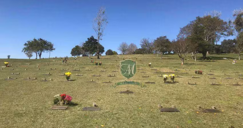 Terreno à venda cemitério parque iguaçu,9 m² por r$ 20.000 - cascatinha - curitiba/pr