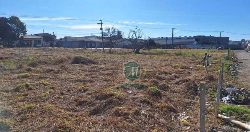 Terreno à venda, 2 m² por r$ 1.900.000,00 - roseira - são josé dos pinhais/pr