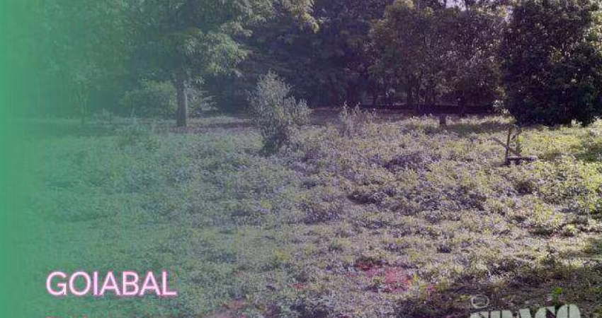 Terreno à venda, 1000 m² por R$ 140.000,00 - Goiabal - Pindamonhangaba/SP