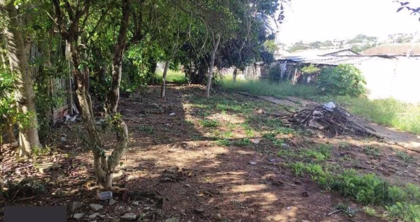 Terreno no Partenon com 494m² plano
