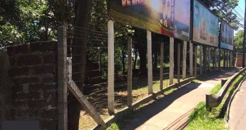 Terreno em Vila Conceição