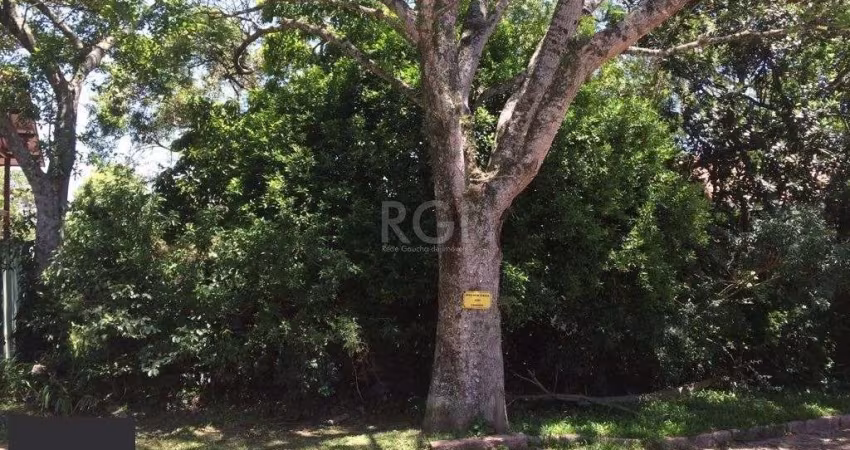Terreno para Venda - 0m², 0 dormitórios, Teresópolis