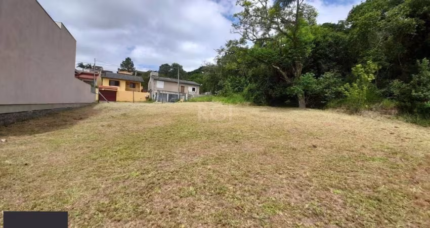 Terreno em Vila Nova