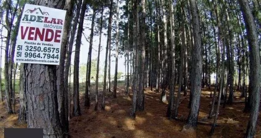 Terreno em Lami