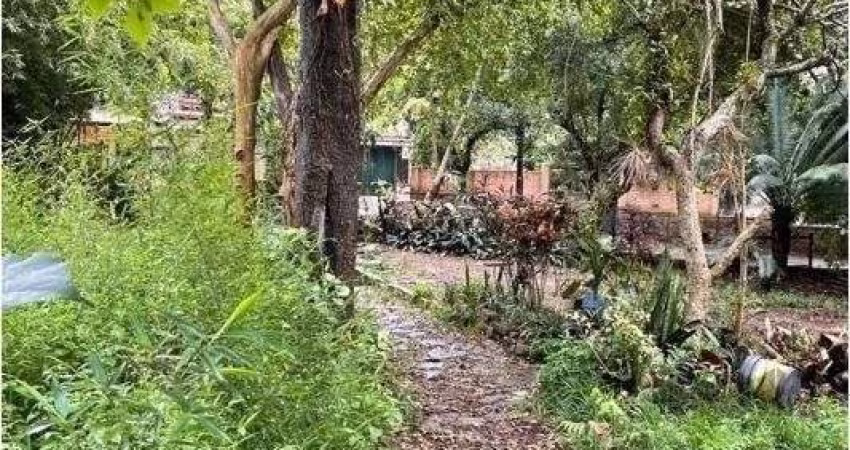 Terreno em Tristeza