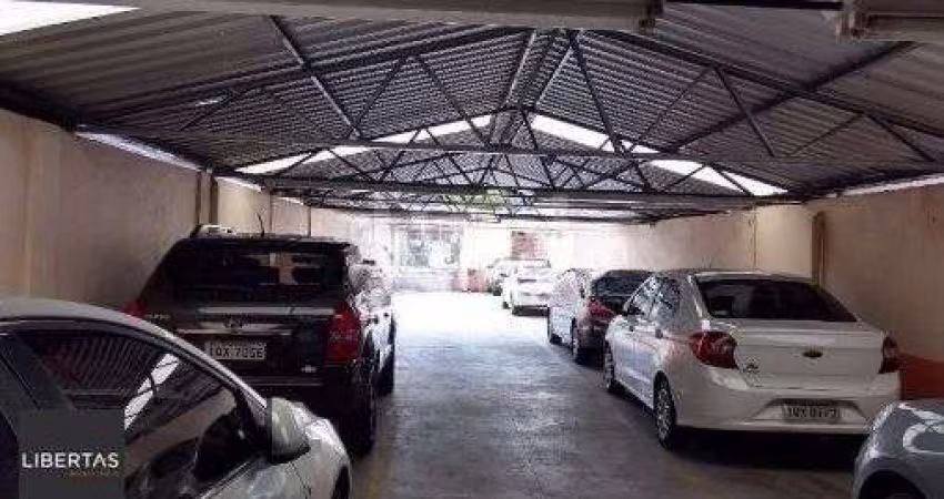 Terreno em Floresta